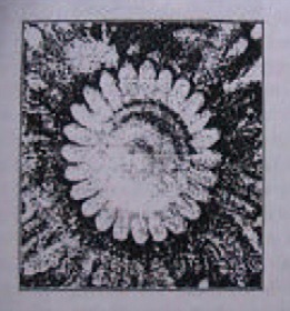 cymatics
